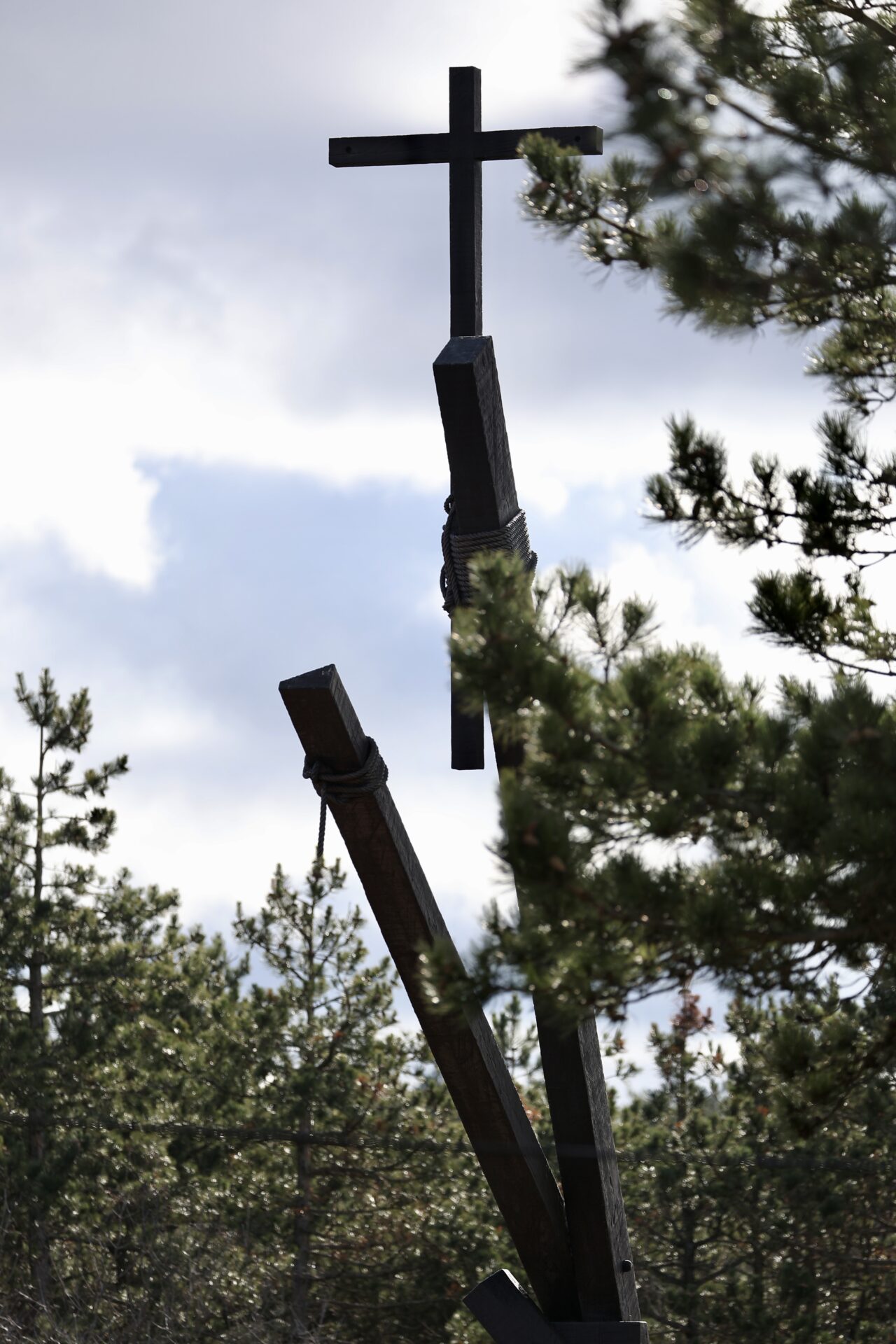 20260210_105838670_iOS