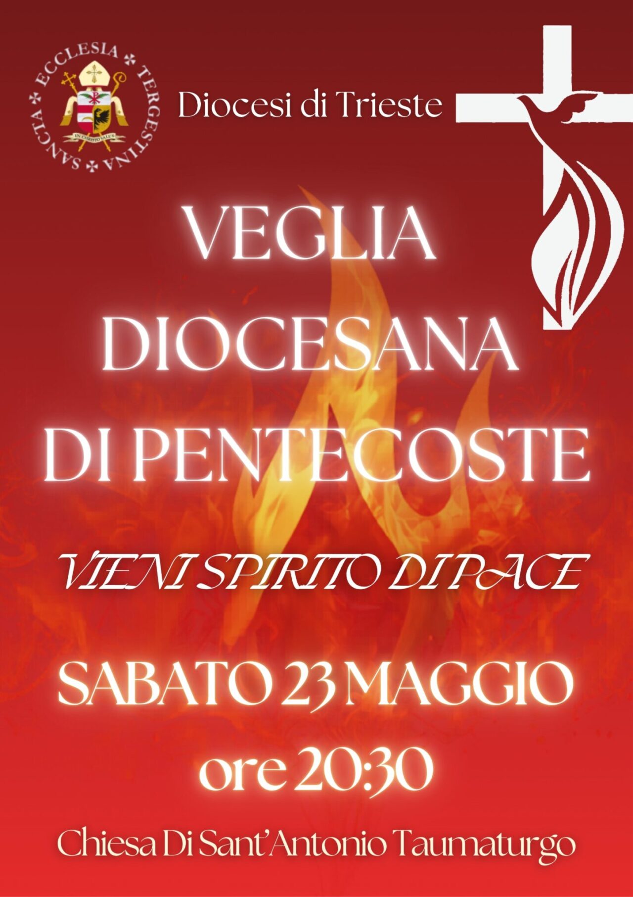 WhatsApp-Image-2026-05-11-at-13.18.21-1447x2048-2-1280x1812.jpeg