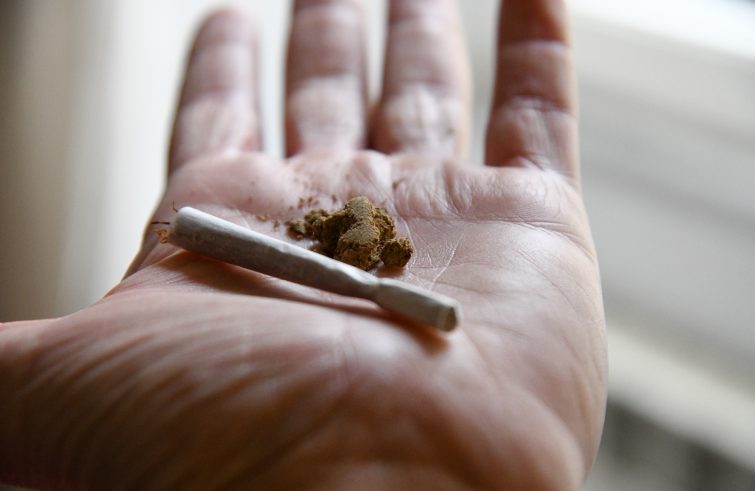 drogacannabisCocaina_18022022_00122-755x491-1.jpg